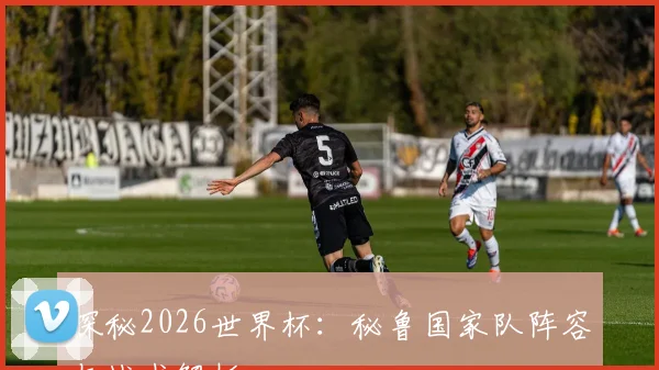 探秘2026世界杯:秘鲁国家队阵容与战术解析
