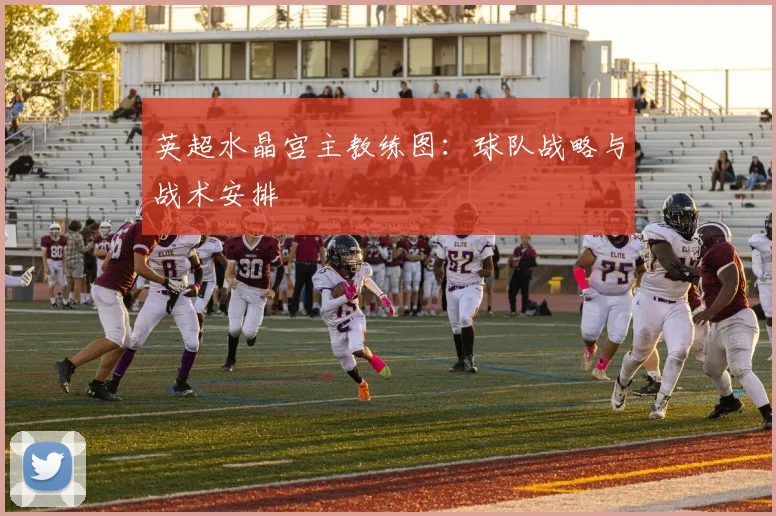 英超水晶宫主教练图：球队战略与战术安排