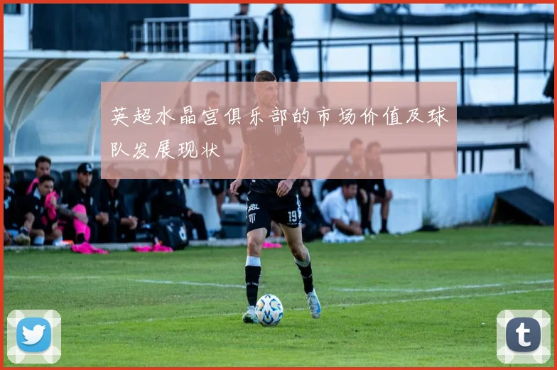 英超水晶宫俱乐部的市场价值及球队发展现状