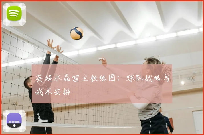 英超水晶宫主教练图:球队战略与战术安排